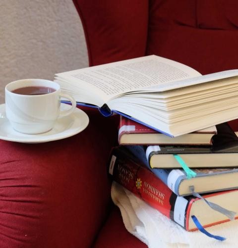 Linus Lesefuchs – Vorlesen in Kitas und Grundschulen Linus Lesefuchs – Vorlesen in Kitas und Grundschulen