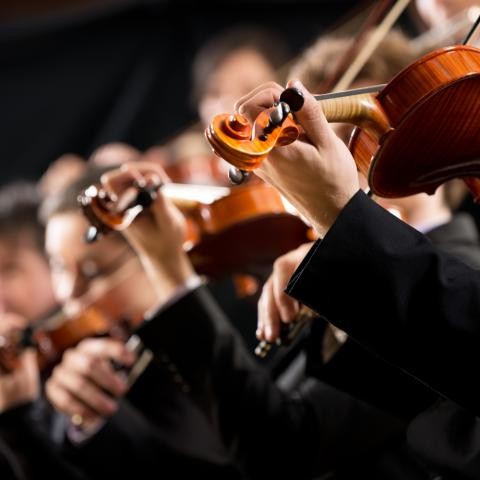 Sinfonieorchester Sinfonieorchester