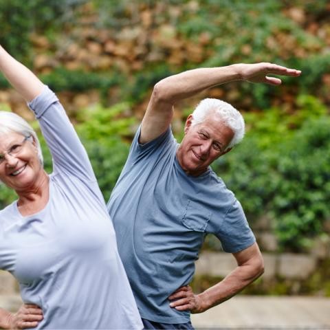FIT IM PARK - Effektives Ganzkörpertraining in der Natur FIT IM PARK - Effektives Ganzkörpertraining in der Natur