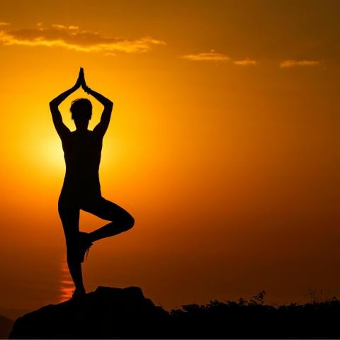 Gesund und Glücklich Gesund und Glücklich