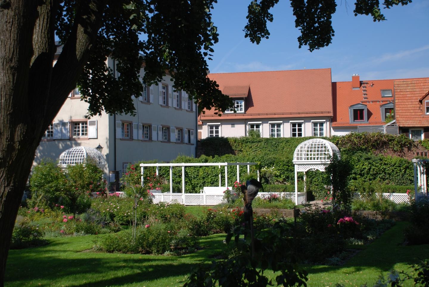 Rosengarten mit Pavillon und Gebäuden im Hintergrund