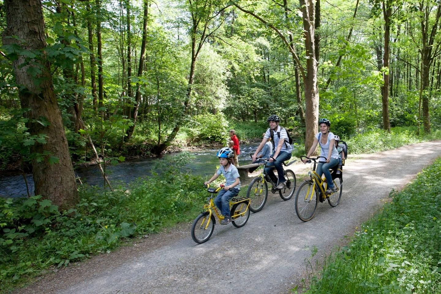 Eine Familie radelt auf einen Radweg durch den Wald