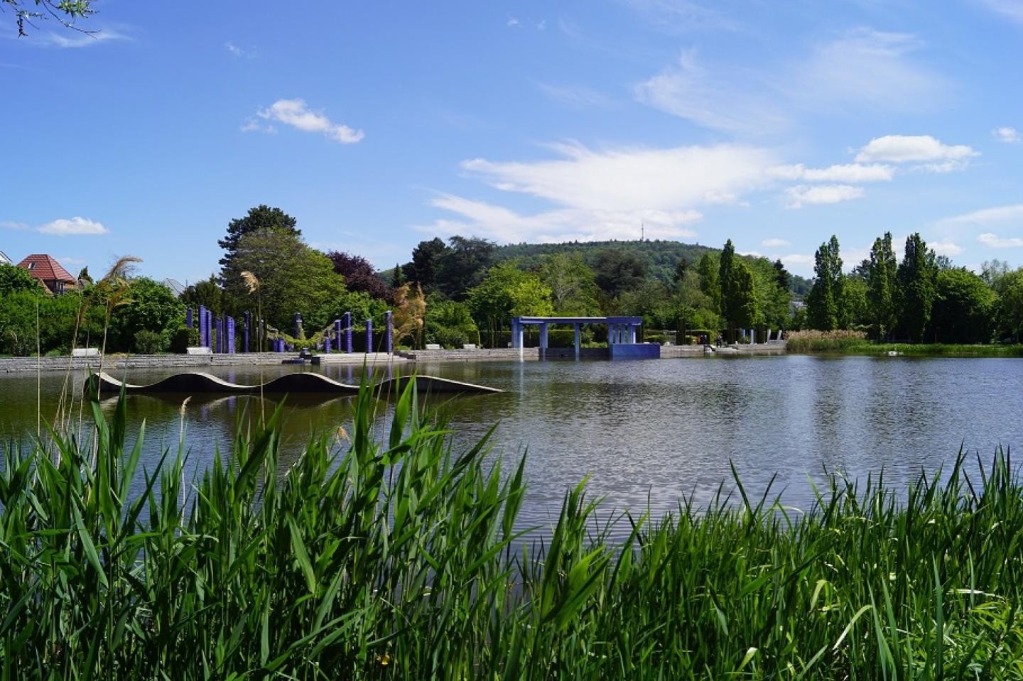 Blick auf Horbachsee mit Wasserschlange und Wasserhaus im Hintergrund