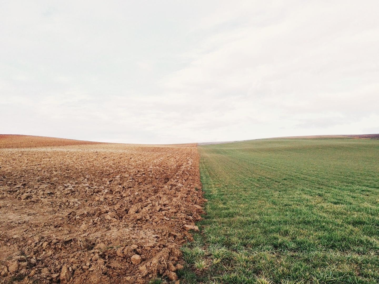 Feld mit Ackerboden links und grüner Wiese rechts