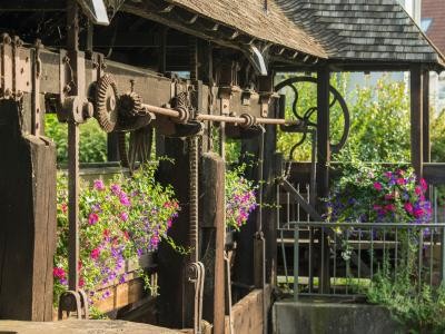Das Bild zeigt das Albwehr, eine historische Konstruktion mit Holzbalken und Zahnrädern, umgeben von blühenden Pflanzen. Albwehr mit Blumen