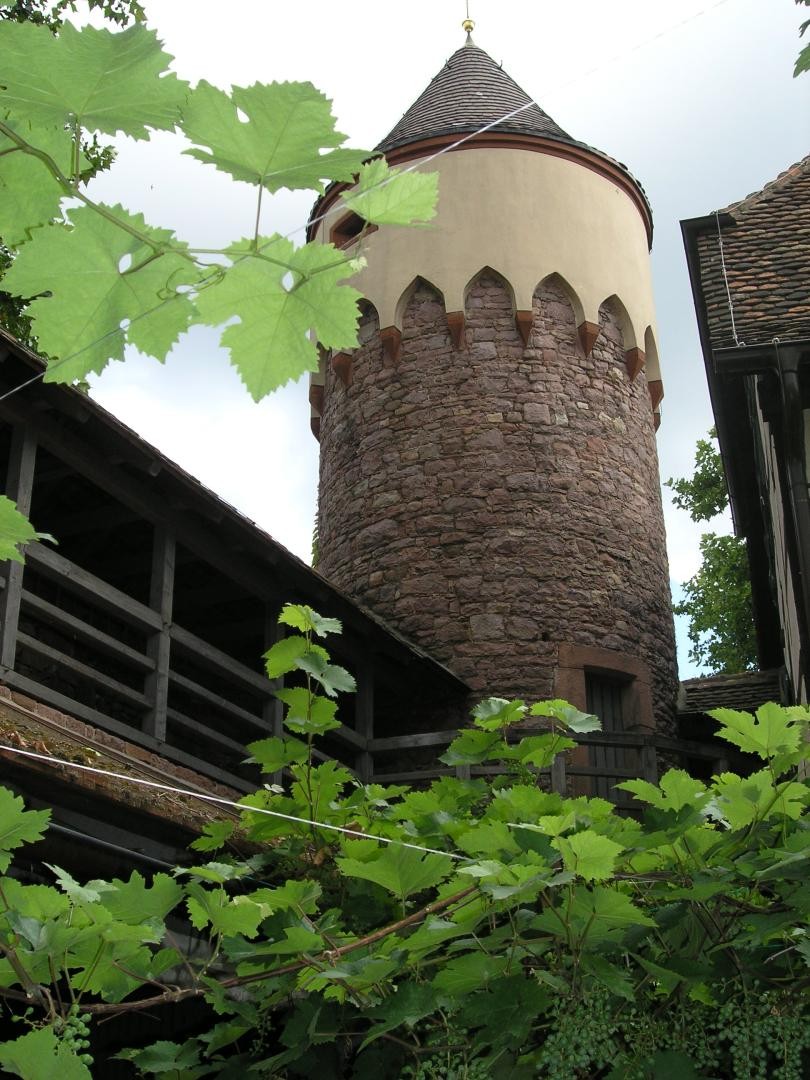 Lauerturm zwischen Weinblättern