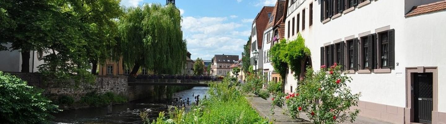 Albstraße Blick auf die Alb (Albstraße)