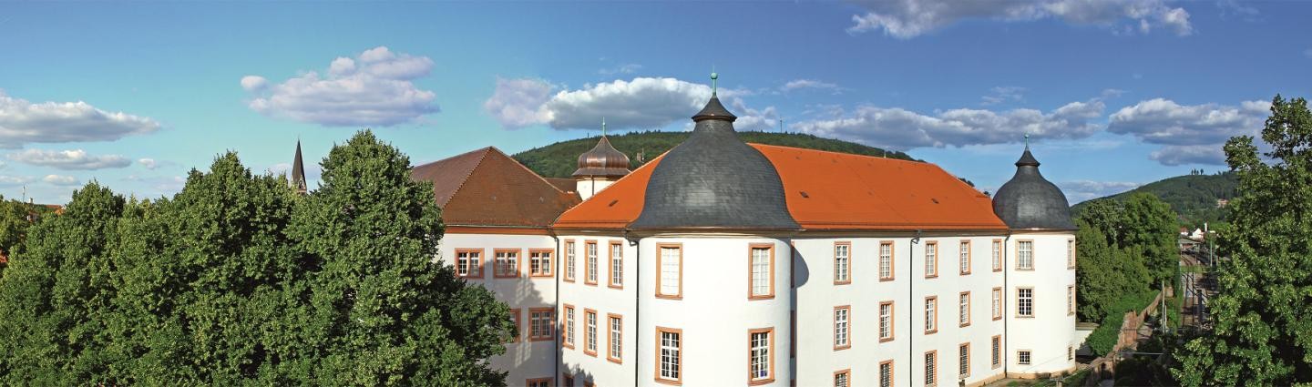 Blick von Süden auf die Außenseite des Schlosses Ettlingen 