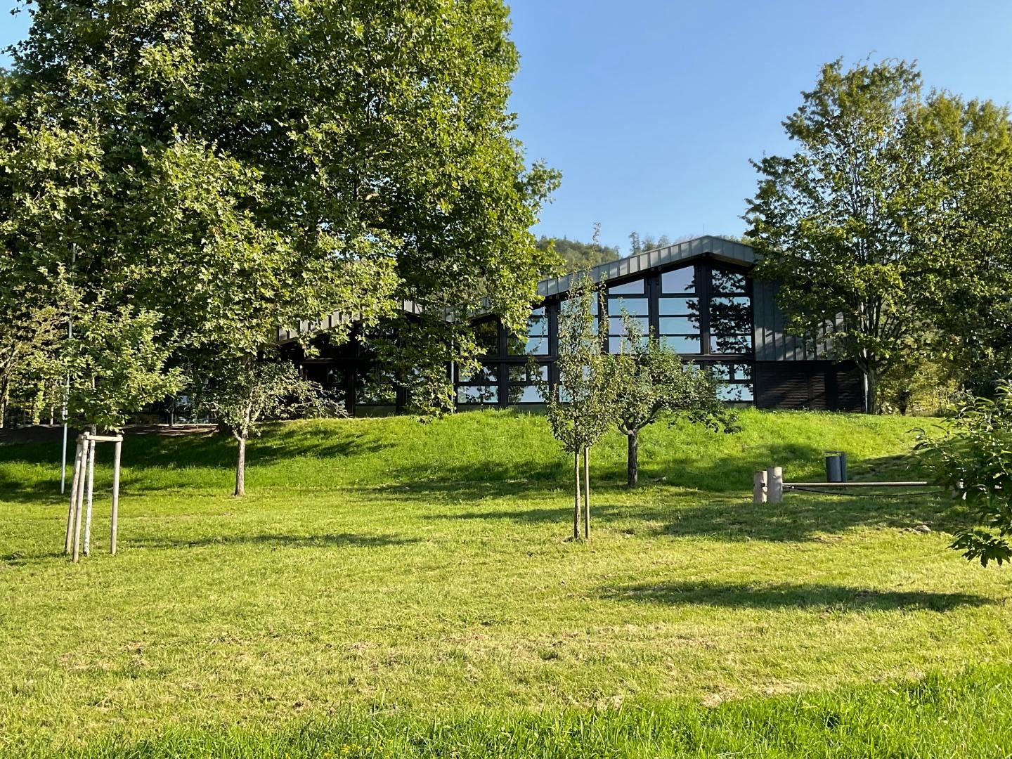 Außenansicht der Waldsaumhalle am Tag bei Sonnenschein im Sommer mit grüner Wiese im Vordergrund und grünen Bäumen, welche die Halle umrahmen