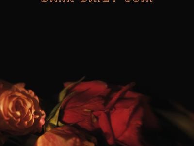 Dark Daily Soap Dark Daily Soap