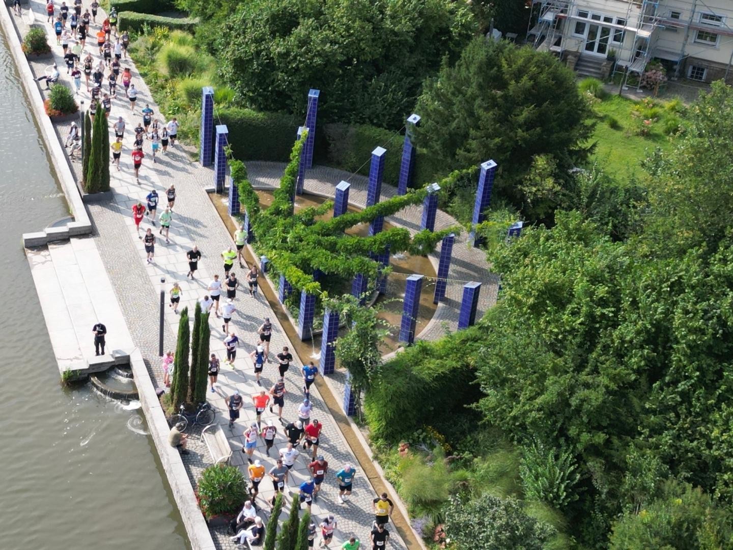Der Läuferwurm bewegt sich durch die Seepromenade im Horbachpark 