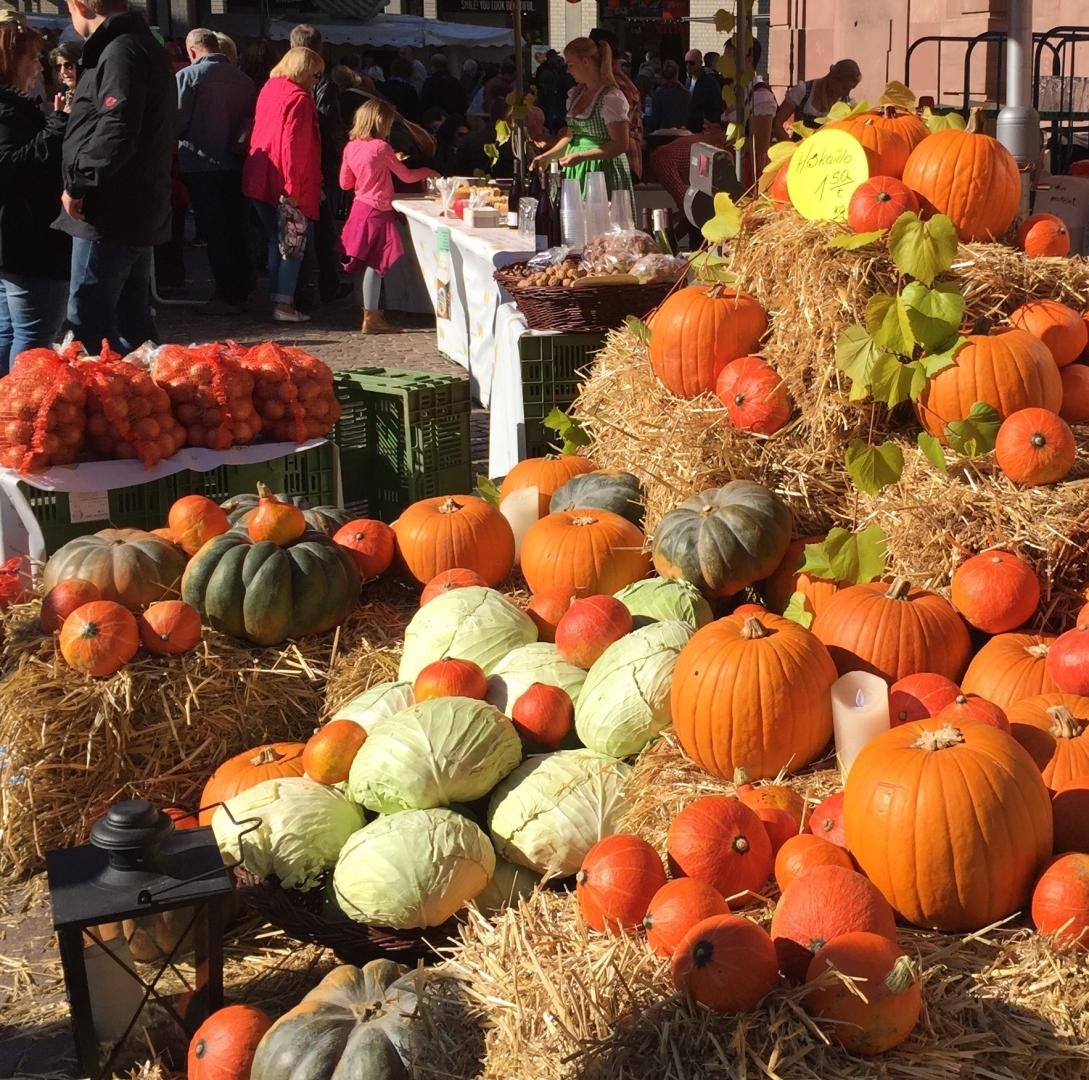 Blick auf den Marktplatz, zu sehen sind Krautköpfe und Kürbisse in vielen Variationen