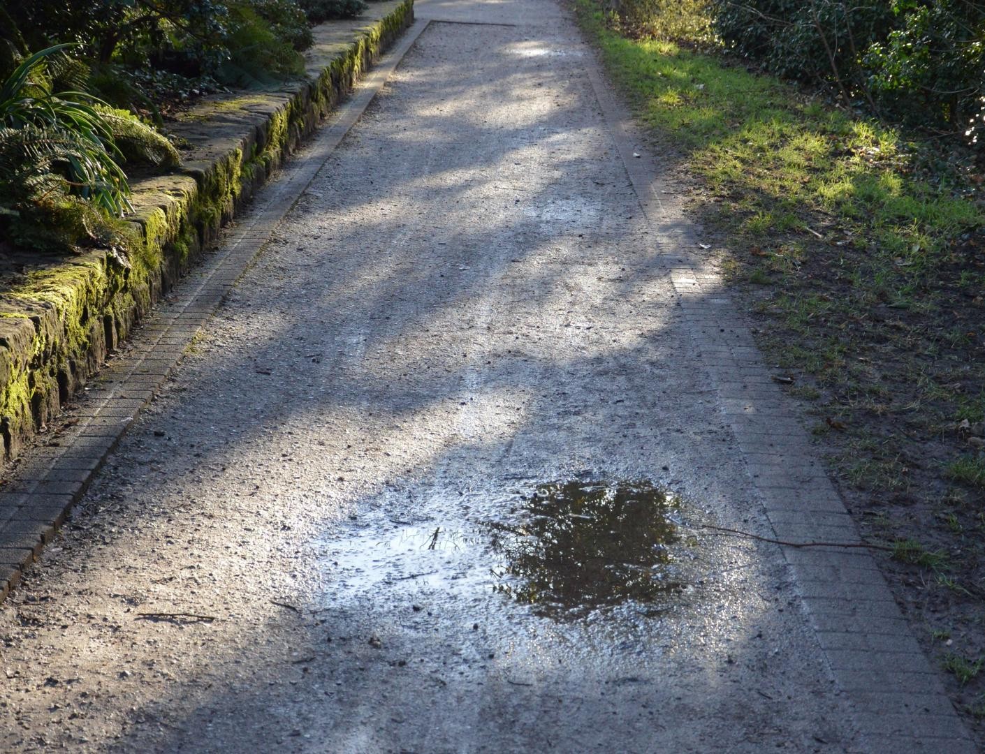 Albwanderweg mit einer Pfütze und nassen Stellen 