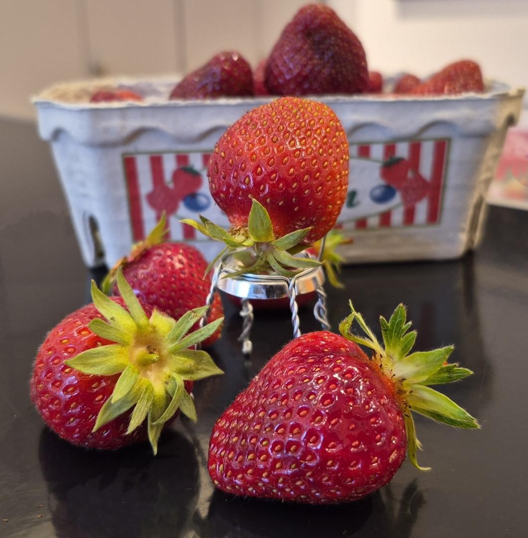 Drei Erdbeeren liegen rund um ein Stühlchen, auf dem eine andere Beere sitzt und im Hintergrund ist eine ganze Schale voller Erdbeeren.