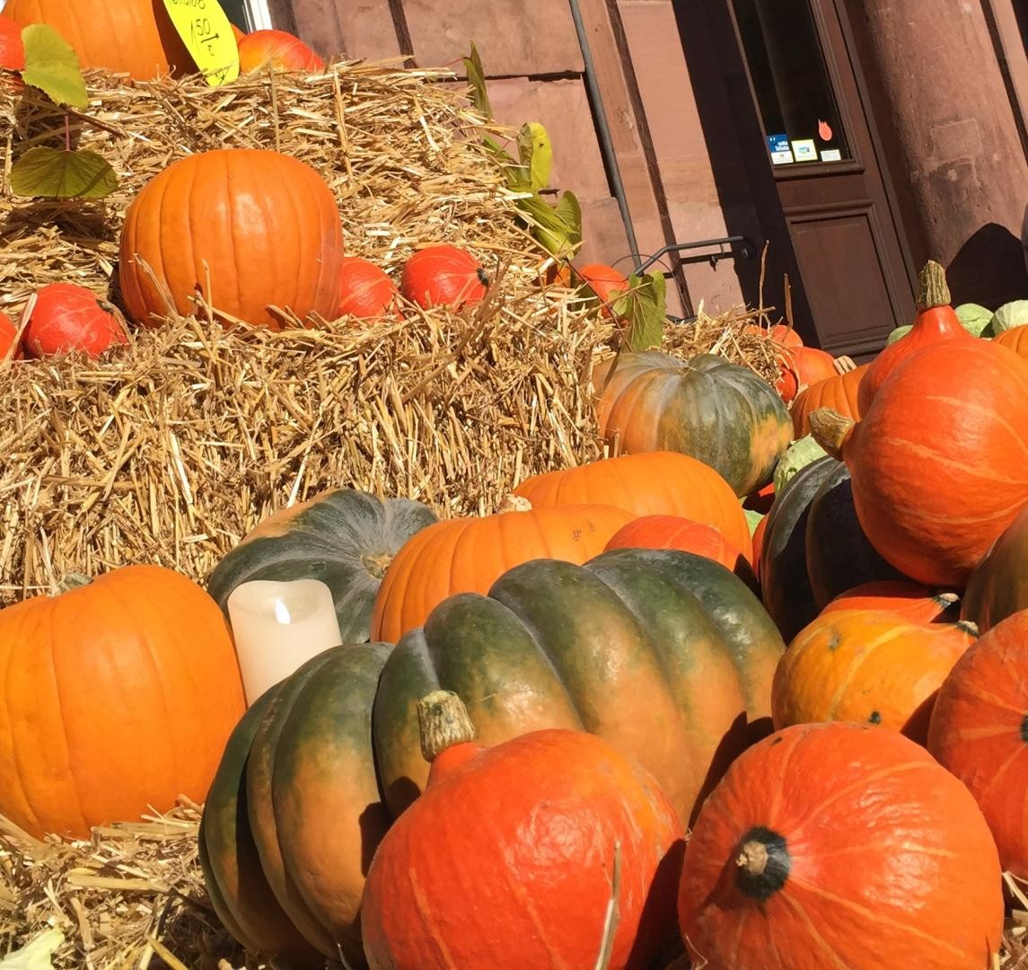 Herbstliche Deko: Kürbisse
