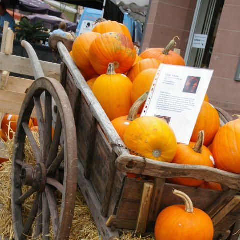 Ettlinger Herbst, Herbstmarkt, Kürbissamstage