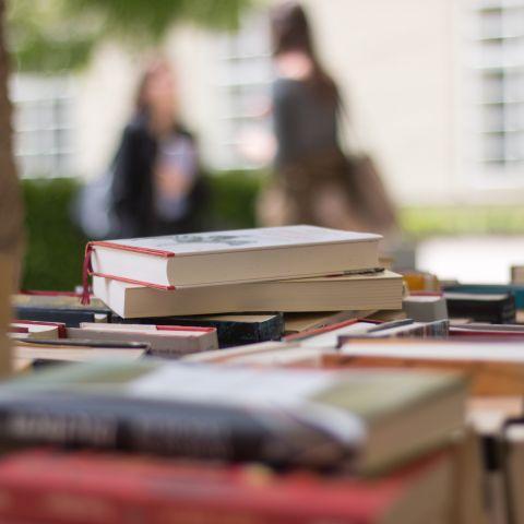 Papier- und Bücherflohmarkt entlang der Alb