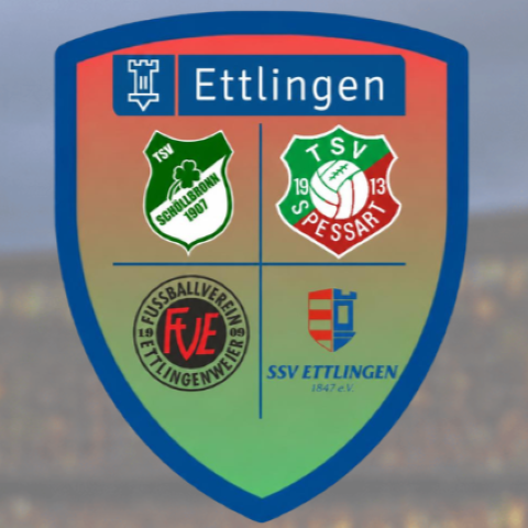 Benefizspiel zur Eröffnung des neuen Kunstrasenplatzes im Sportpark Baggerloch