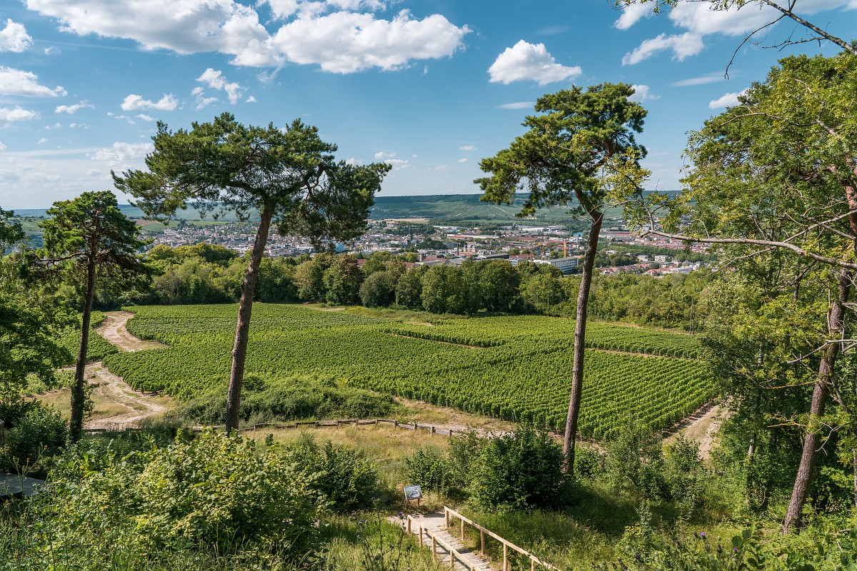 Natur in Epernay