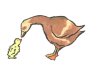 Tiersymbol Spielplatz Gans Tiersymbol Spielplatz Gans