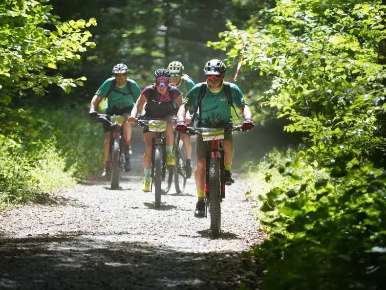 vier Mountainbike auf einem Weg im Wald 