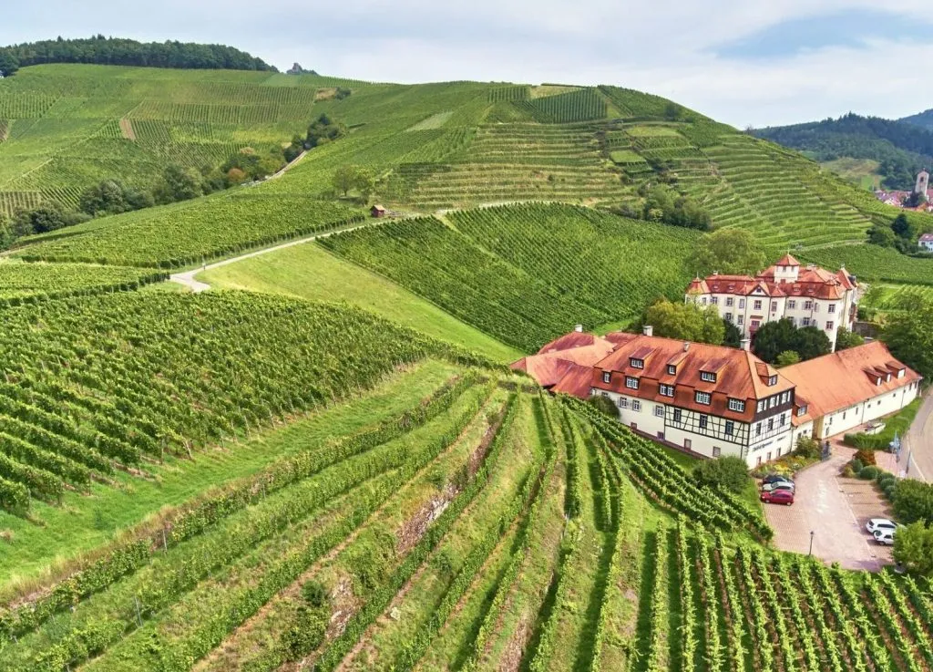 Drohnenaufnahme Weingut Schloss Neuweier und Reben