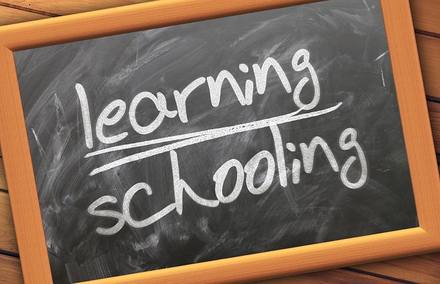 schwarze Tafel mit weißer Kreideaufschrift "learning schooling"