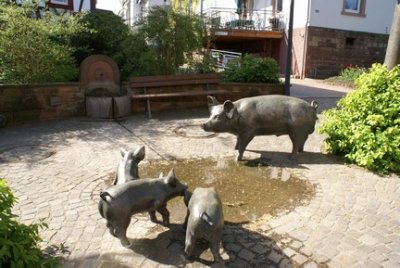 Vier Schweine vor Brunnen