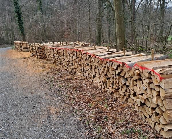 Man sieht sorgfältig gestapeltes Holz am Wegesrand, jeweils ein Ster neben dem anderen