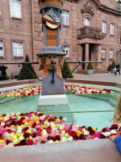 Foto des Brunnens vor dem Rathaus mit Rosenköpfen dekoriert