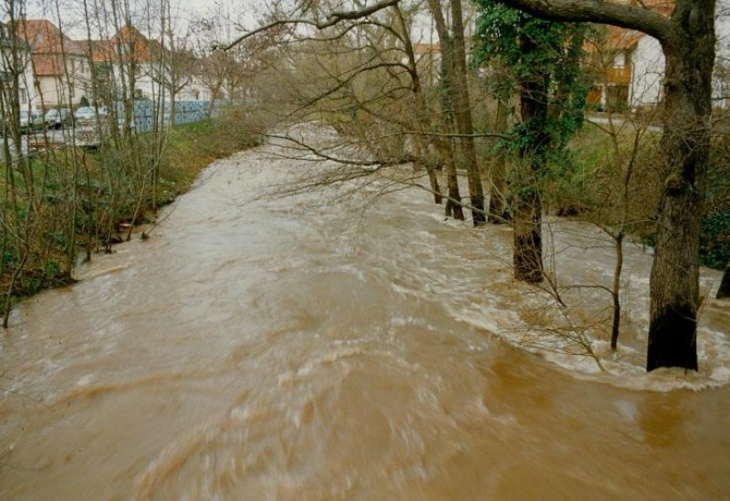 Hochwasser an der Alb