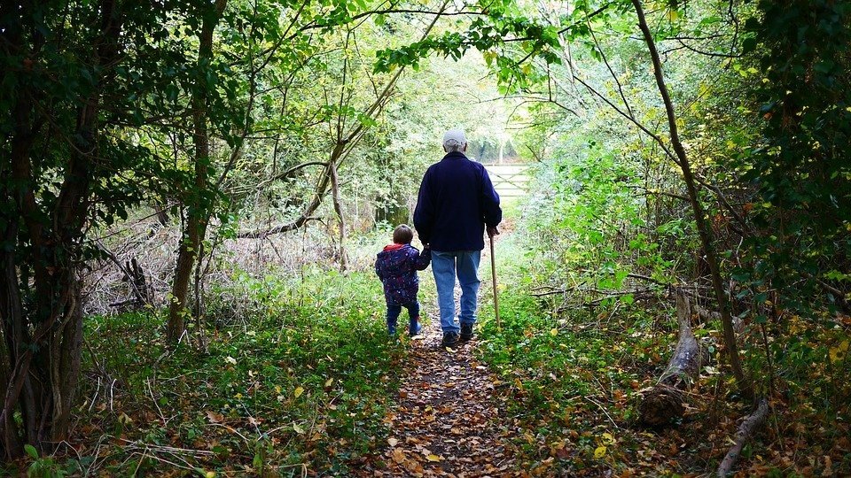 Kleiner Junge läuft an der Hand vom Großvater durch den Wald