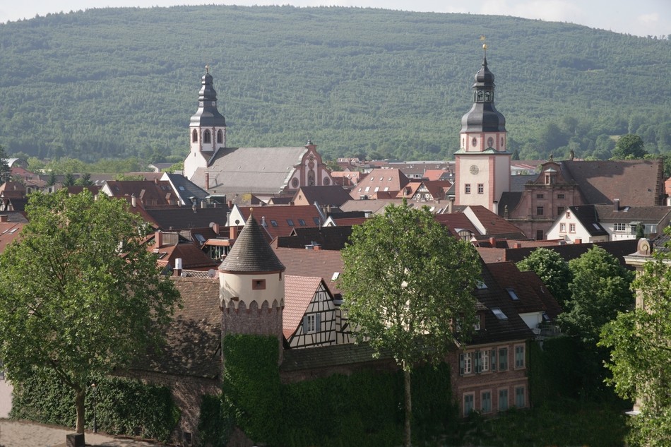 Blick auf Ettlingen Blick auf Ettlingen Martinskirche, Johanneskirche, Lauerturm