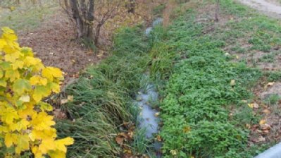 Milchige Flüssigkeit, die über den Kanal in einen Graben eingeleitet wird