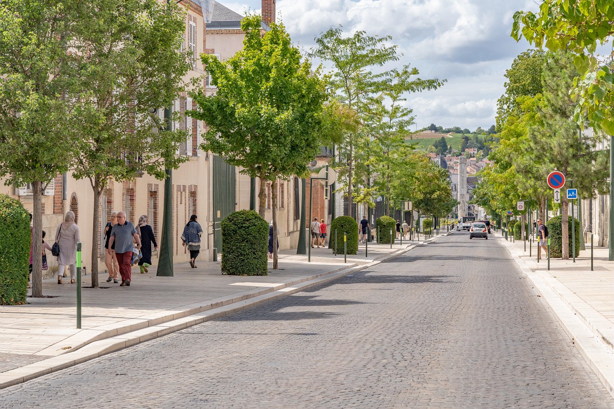 Straße in Epernay Avenue de Champagne in Epernay