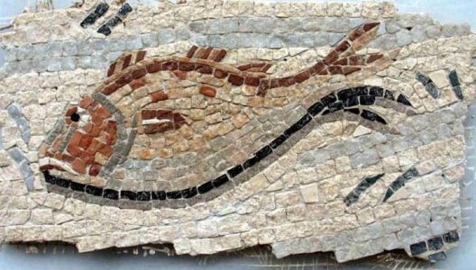 Fischmosaik