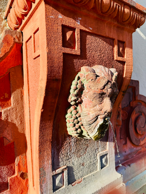 Wasserspeier an einem Brunnen