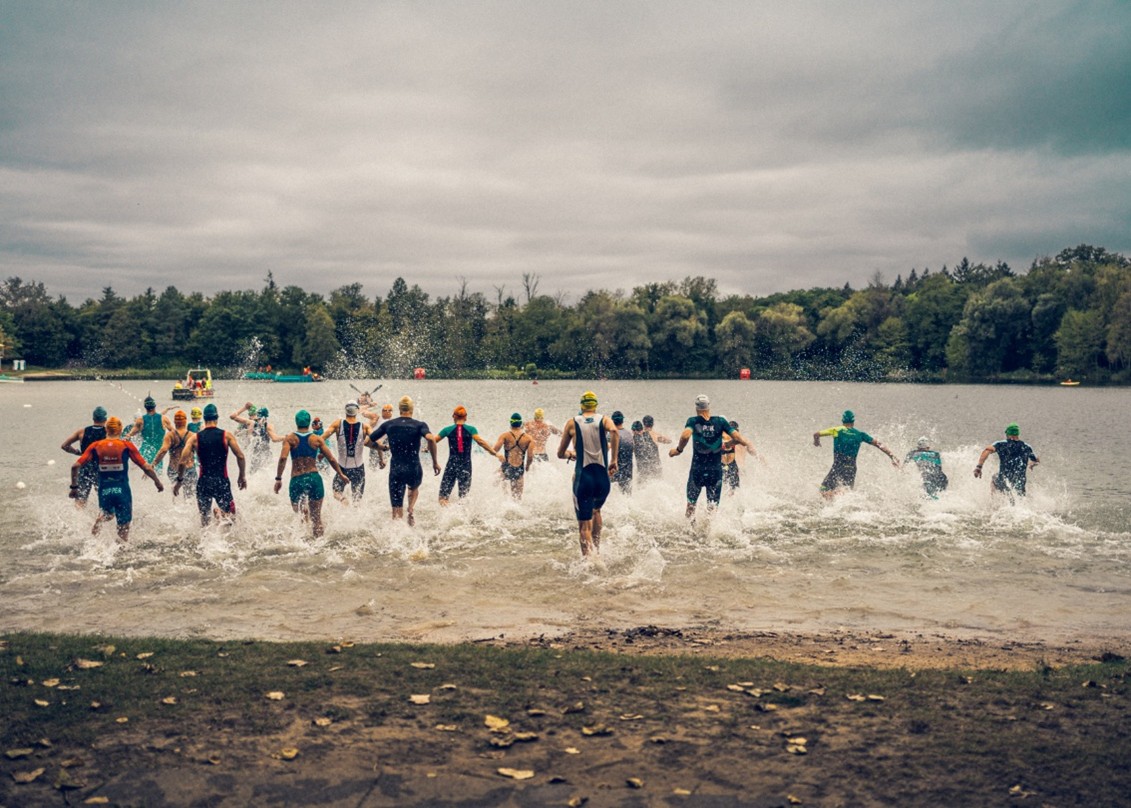 (c) Ronny Zimmermann