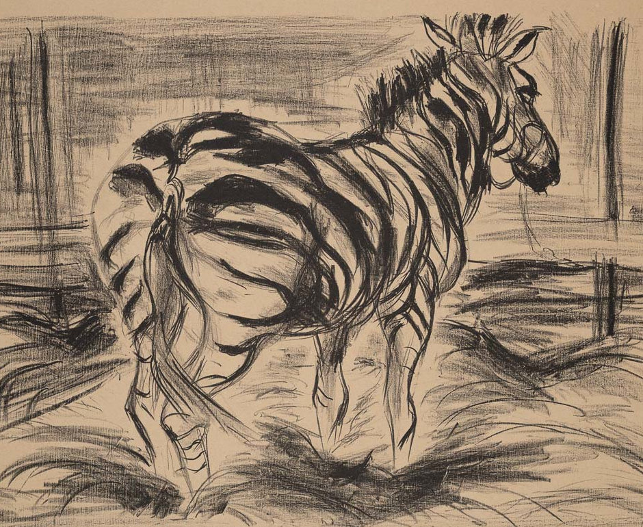 Zebra von Hanfried Streit