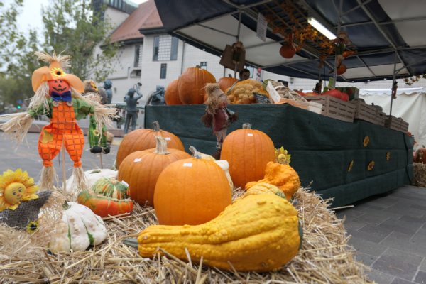 Marktstand mit Kürbissen