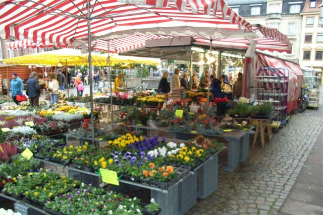Bild zeigt Blumen bei einem Marktstand